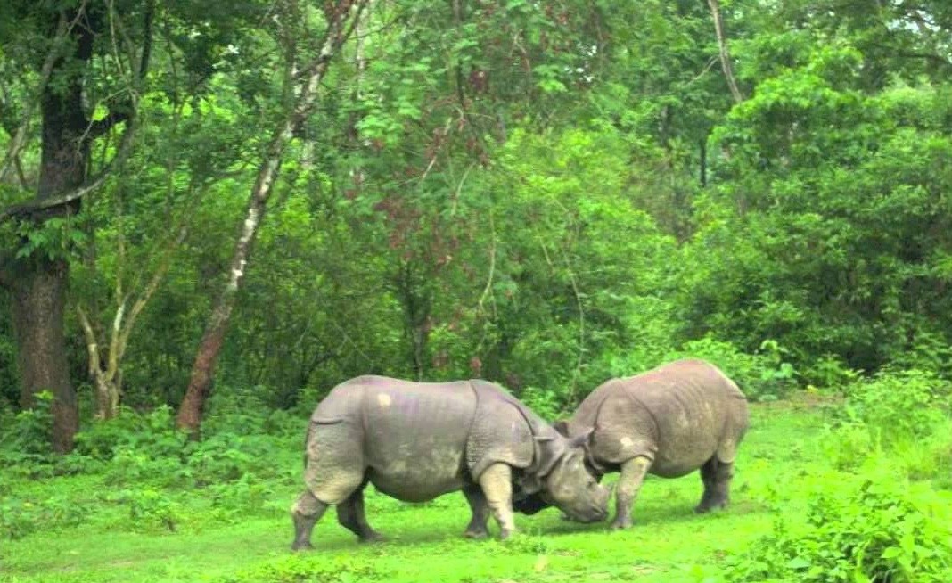 पर्यटकको रोजाइमा सौराहा…