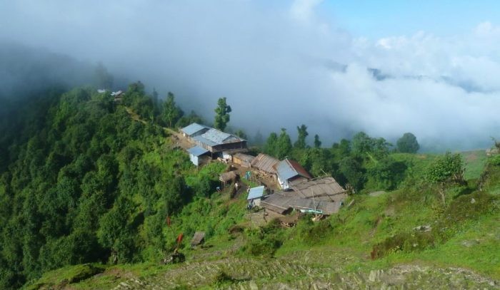 खुम्चियो चारकोसे जंगल, ३० वर्षमा ११ हजार हेक्टर घटयो